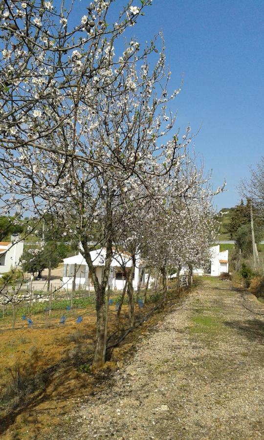 Holiday Home Monte Das Azinheiras Arraiolos Buitenkant foto